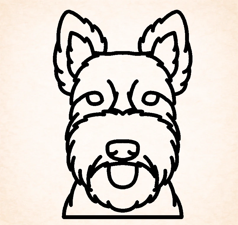 Schotse terrier