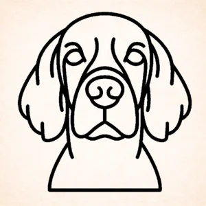 Setter (Ierse)