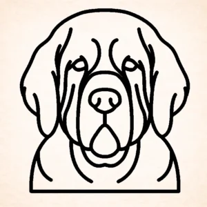 Spaniel (Clumber)