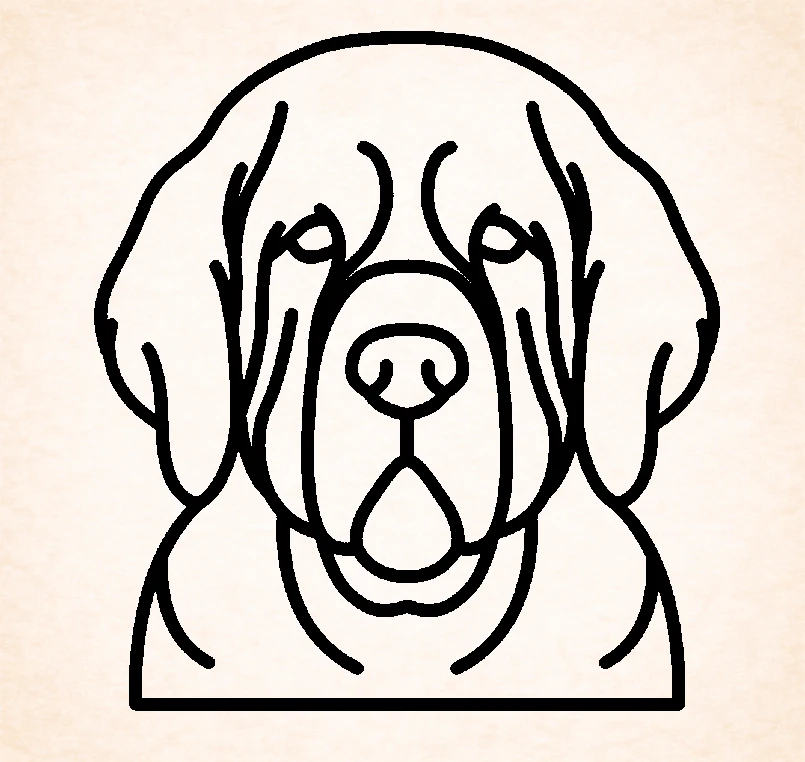 Spaniel (Clumber)