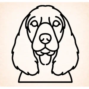 Spaniel (Field)