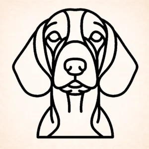 Spaniel (Welsh Springer)