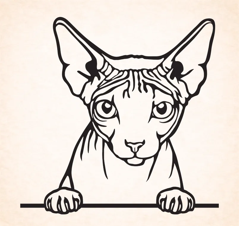 Sphynx
