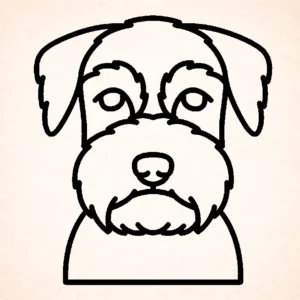 Standaard Schnauzer