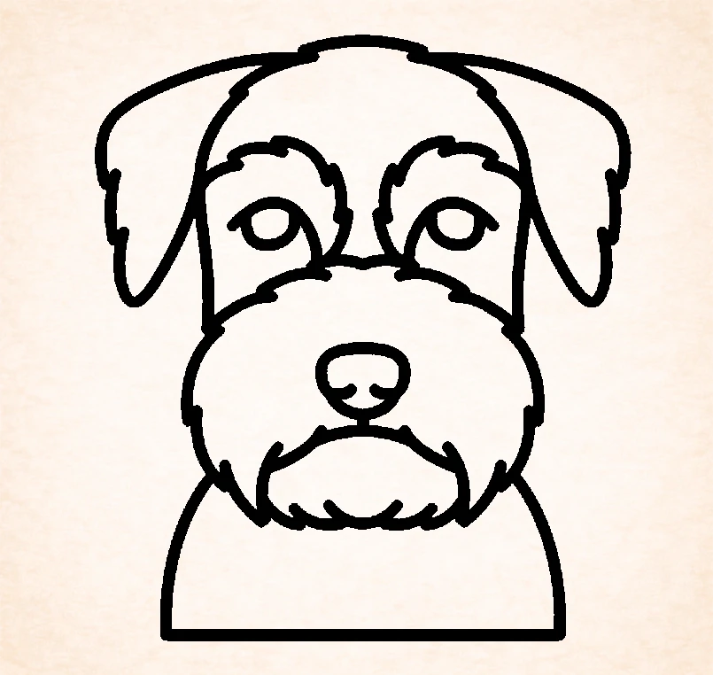 Standaard Schnauzer