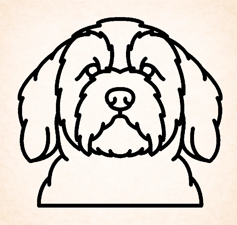 Tibetan terrier