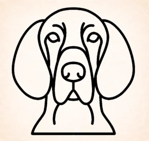 Vizslas
