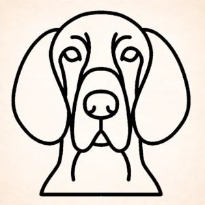 Vizslas