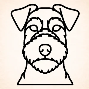 Welsh terrier